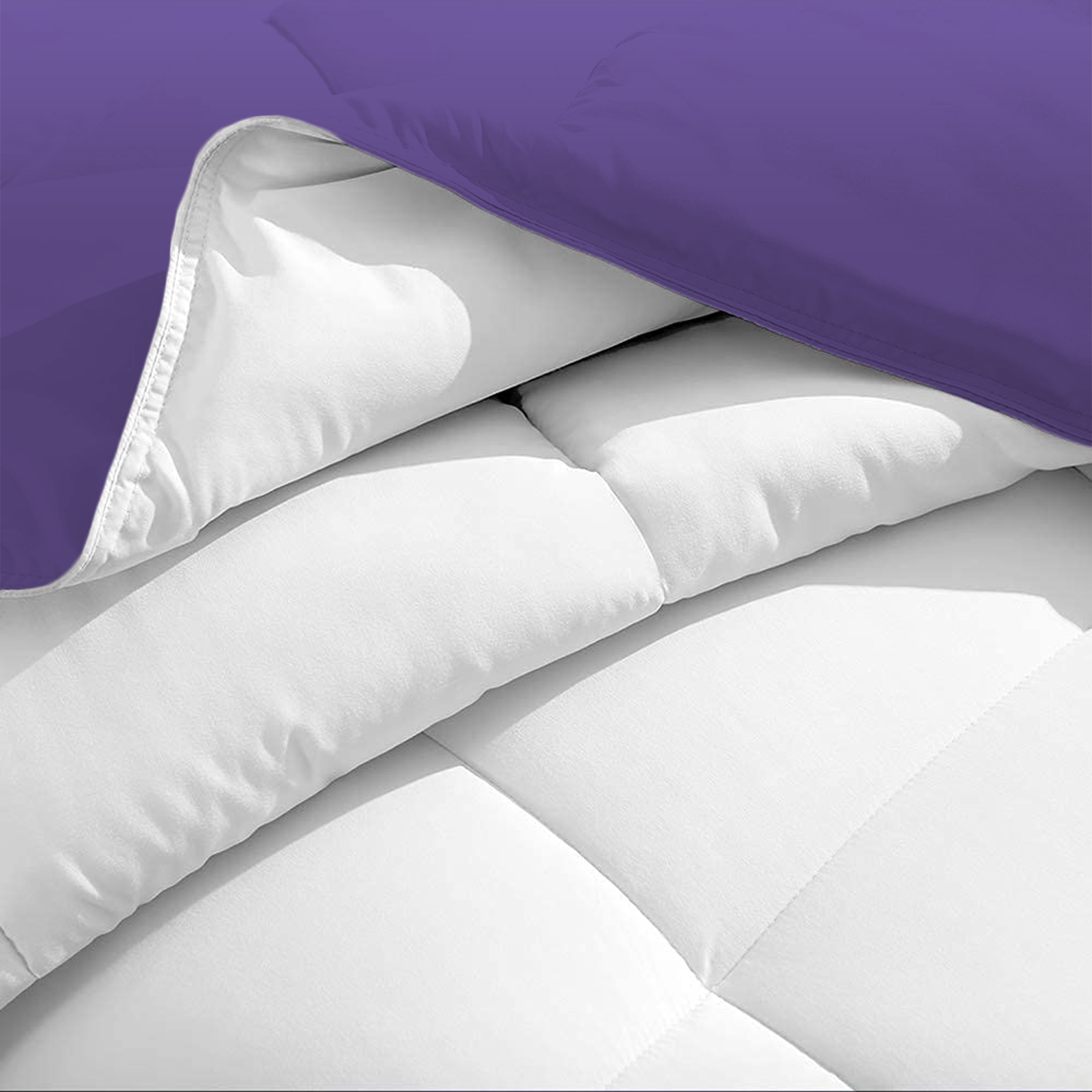 Purple and White Reversible Comforter