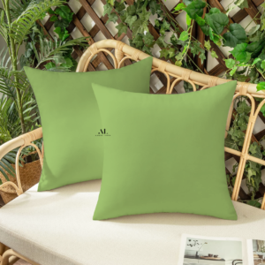 Sage Green Cushion Covers