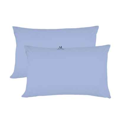 Light Blue Pillow Covers