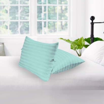 Aqua Stripe Pillow Covers