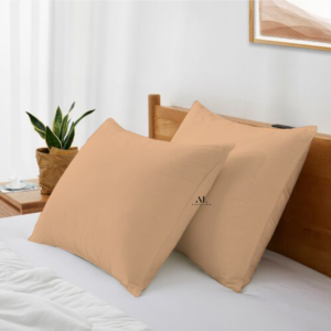 Beige Pillow Covers